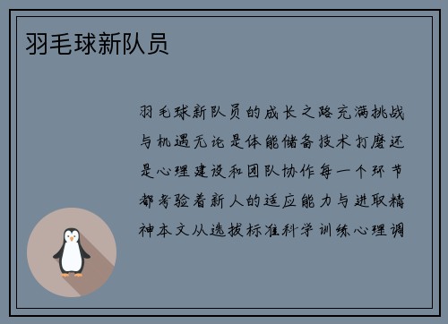 羽毛球新队员
