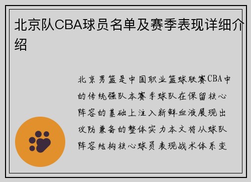 北京队CBA球员名单及赛季表现详细介绍