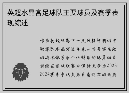 英超水晶宫足球队主要球员及赛季表现综述